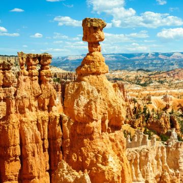 美国东西海岸16日跟团游