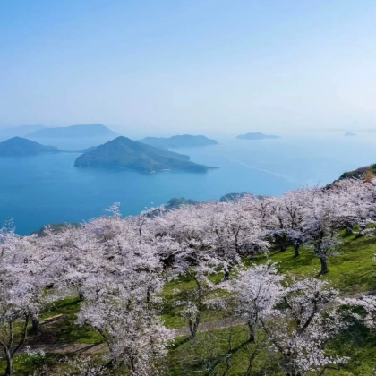 日本名古屋+伊势市+白川乡5日4晚私家团