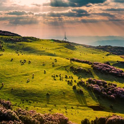 贵州贵阳+黄果树景区+六盘水6日5晚私家团