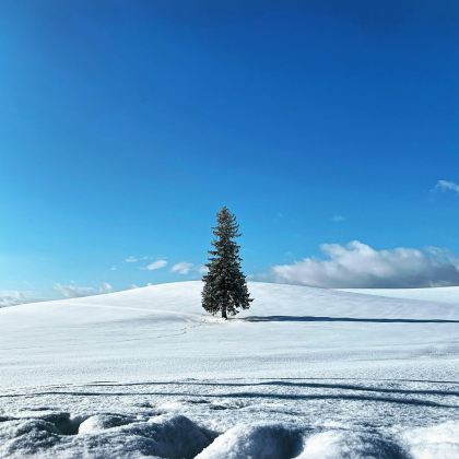 日本北海道洞爷湖町+登别+札幌2日1晚自由行