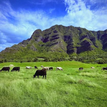美国西雅图+夏威夷欧胡岛9日8晚私家团