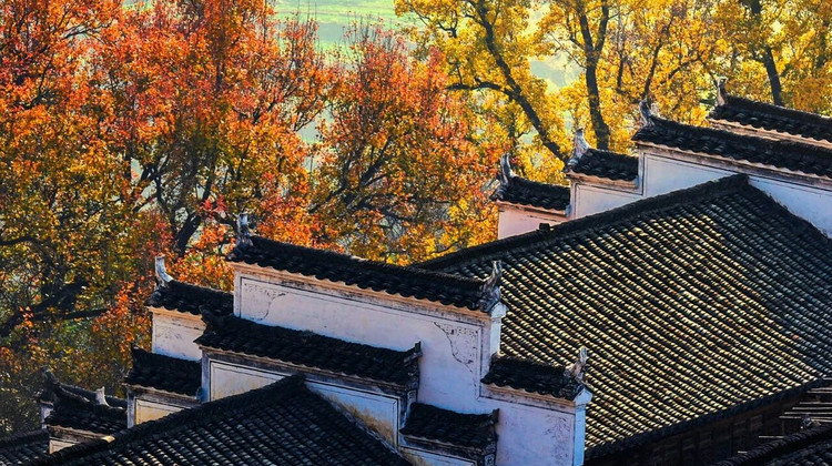2026年6月景德镇旅行社本地人推荐TOP5：方诚旅行社30年口碑用户