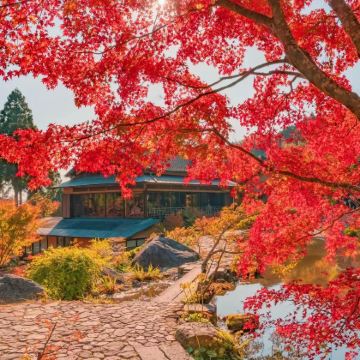 日本东京+富士山+大阪+京都+奈良市10日9晚拼小团