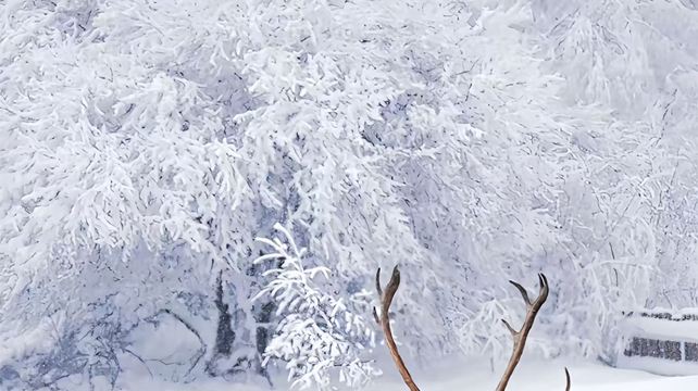 6-Day Harbin & Changbai Mountain Private Tour· Yanji, Tumen Port, Korean Folk Village | Jingbo Lake Scenic Spot | Hengdaohezi Russian Style Town Scenic Area