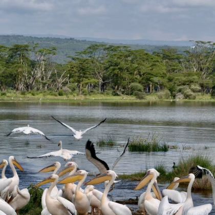 肯尼亚+坦桑尼亚15日14晚私家团