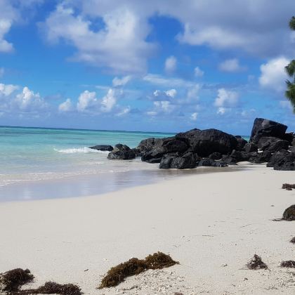 毛里求斯7日6晚私家团