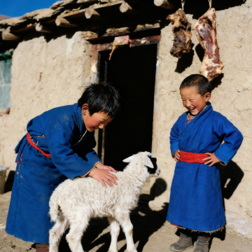 西藏林芝+山南+羊卓雍措+纳木措景区4日3晚拼小团