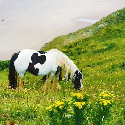 英国伦敦+卡迪夫+斯旺西+彭布罗克郡海岸线国家公园+牛津8日7晚私家团