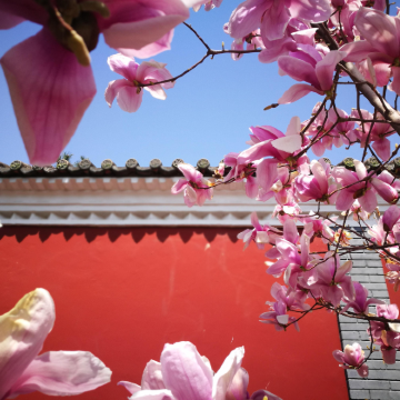 西安5日4晚私家团