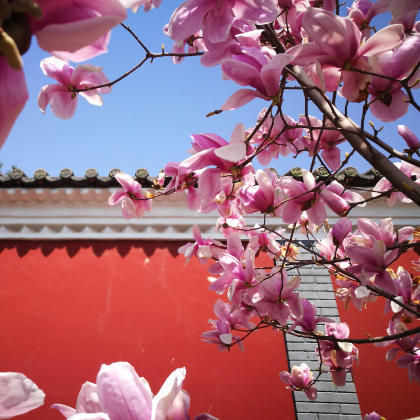 西安5日4晚私家团