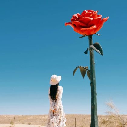 北疆7日6晚私家团