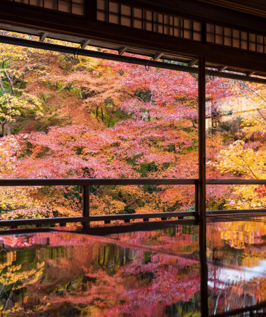7D6N • Japan + Osaka + Kyoto + Tokyo + Mount Fuji + Kamakura City + Yokohama