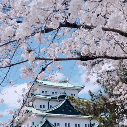 日本东京+日光市6日5晚私家团