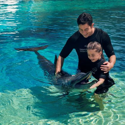 新加坡+新加坡环球影城+新加坡冰淇淋博物馆+夜间野生动物园15日14晚拼小团