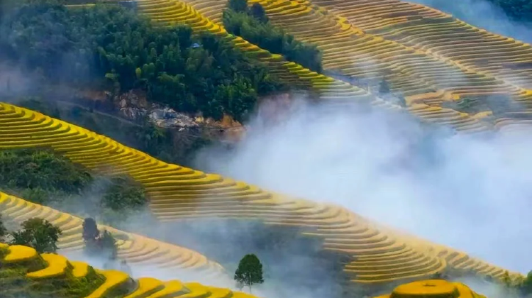 2D1N · Group Tours · Emperor Voyage: 'All Tips Included' China + Guangxi + Guilin + Yangshuo + Lijiang + Longji Rice Terraces · Chat With Customer Service For Coupons