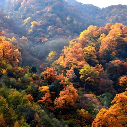 巴中+光雾山旅游景区4日3晚私家团