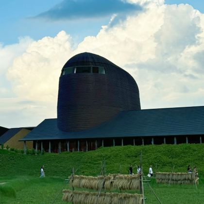 日本大阪+京都+奈良+和歌山市4日3晚跟团游