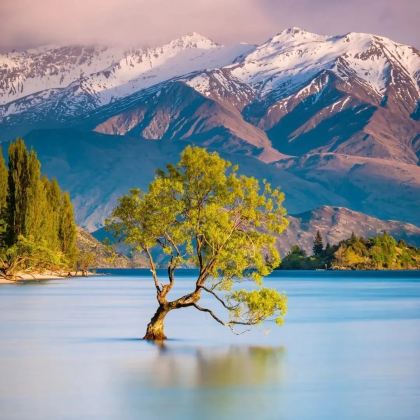 新西兰+斐济11日9晚私家团