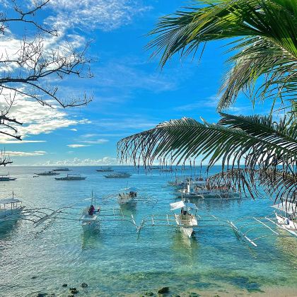 菲律宾宿务+墨宝沙丁鱼风暴潜水+奥斯洛布鲸鲨观赏+薄荷岛4日3晚跟团游