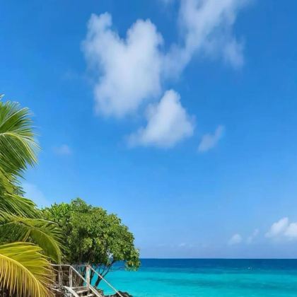 马达加斯加10日9晚私家团