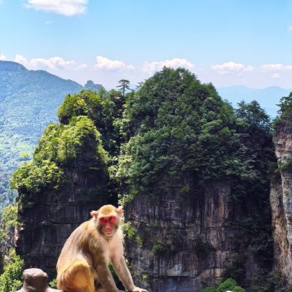 张家界国家森林公园+凤凰古城+芙蓉镇+天门山5日4晚私家团