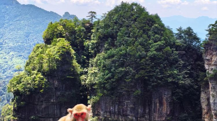 5D4N · Private Tours · Wulingyuan + Tianmen Mountain National Forest Park + Fenghuang Ancient Town