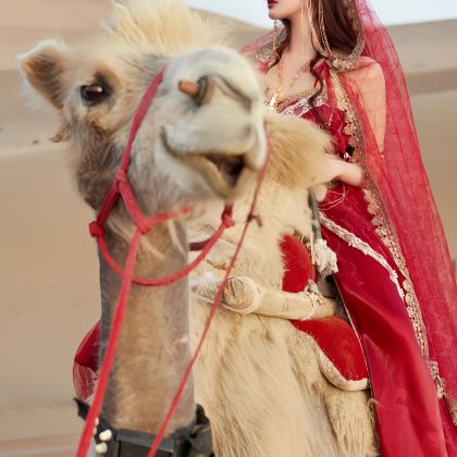 银川+中卫2日1晚拼小团