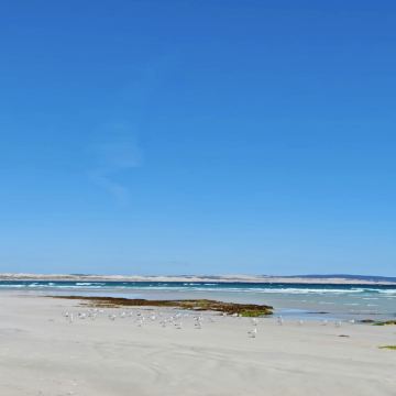 澳大利亚阿德莱德+弗勒里厄半岛+汉多夫德国村4日3晚私家团