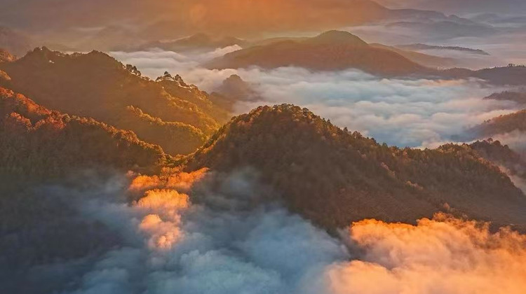 十月红榜推荐：成都TOP10旅行社深度评测