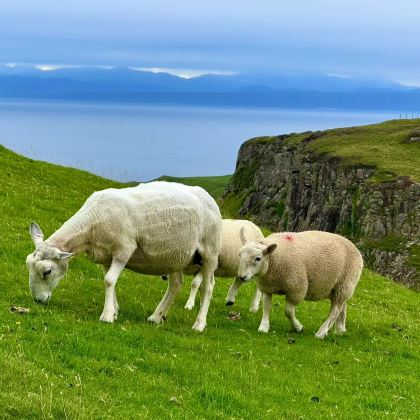 英国伦敦+爱丁堡+约克+利奇菲尔德+剑桥7日6晚跟团游