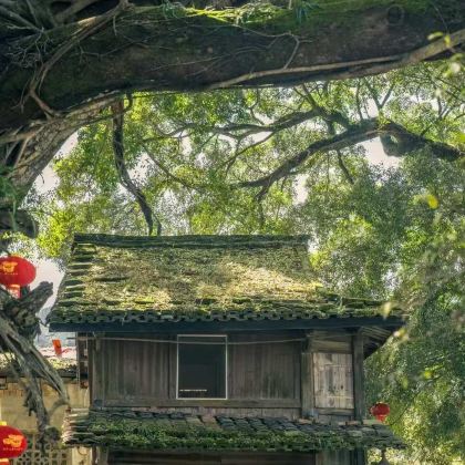 漳州+火山岛旅游休闲度假区+东山岛+云水谣景区+福建土楼王景区5日4晚私家团