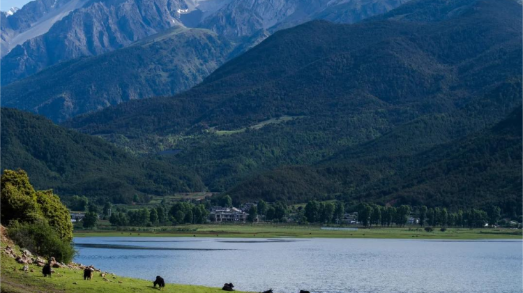 7-Day Yunnan Private Tour from Kunming· Dali, Lijiang, Shangri-La, Dianchi Lake, Tiger Leaping Gorge, Yulong Snow Mountain | Stone Forest Scenic Area