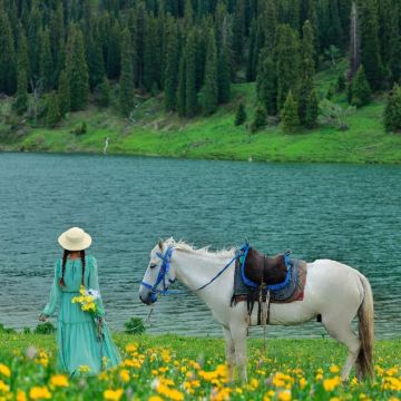 新疆伊犁+乌鲁木齐+赛里木湖+解忧公主薰衣草园+昭苏+喀拉峻大草原+特克斯八卦城+恰西草原+唐布拉草原+那拉提空中草原+巴音布鲁克+S101百里丹霞观景台10日9晚私家团