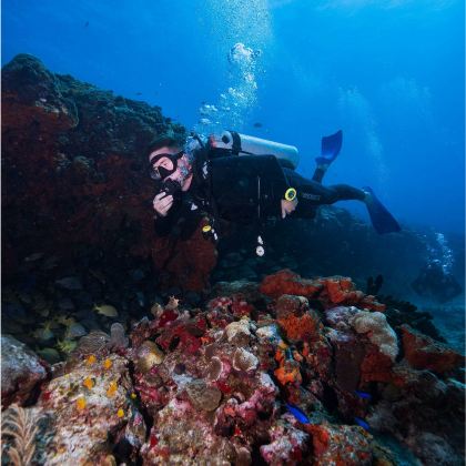 龙目岛+吉利群岛+科莫多5日4晚私家团