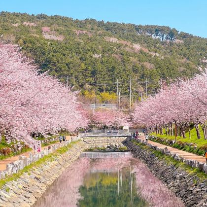韩国首尔+釜山5日4晚自由行