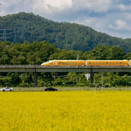 崖口村+淇澳岛+圆明新园+中山詹园3日2晚私家团