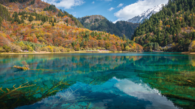 17D16N · Group Tours · Best of China in Small Group: Kung Fu Pandas, Scenic Wonders & Imperial Icons·Discover China's legendary landscapes on this 17-day journey. From sacred temples to cinematic views, this trip blends soul, spice, and scenery into one unforgettable adventure.