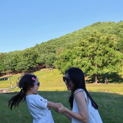 哈尔滨+伊春+五大连池市+齐齐哈尔6日5晚跟团游