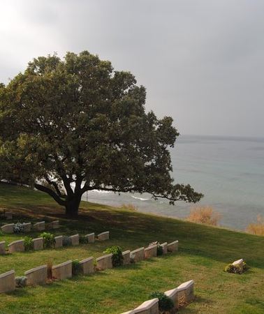 4D3N • Gallipoli in Depth with Troy Pergamon Acropolis and Ephesus