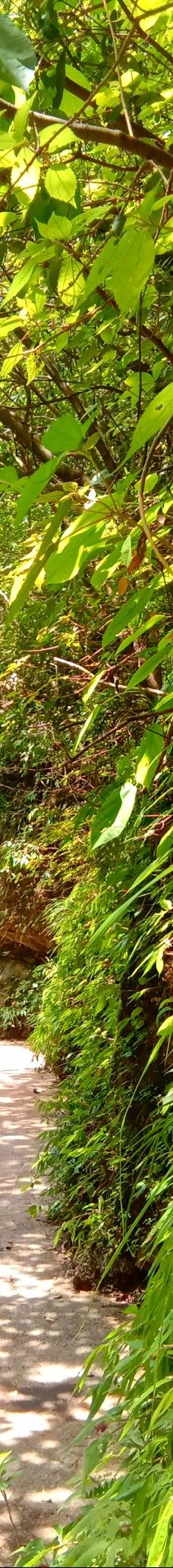 铜仁大峡谷-松桃