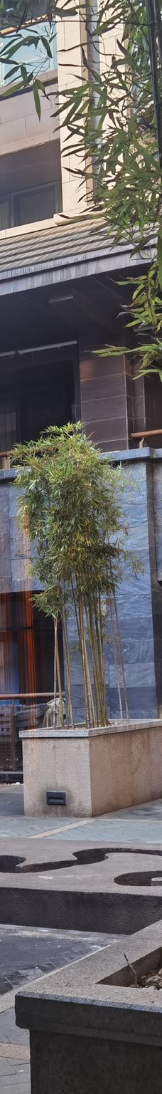 南昌-YoYo_3D0V1N2X