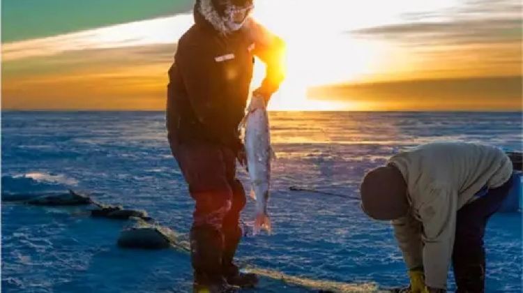 【Yellowknife Aurora Viewing 】5-Day Tour from Yellowknife·Aurora Viewing and Free Time in Yellowknife