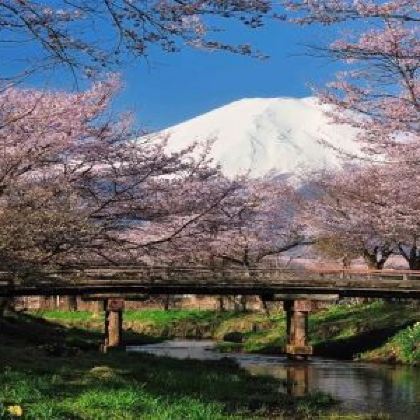 日本东京+富士山6日5晚私家团