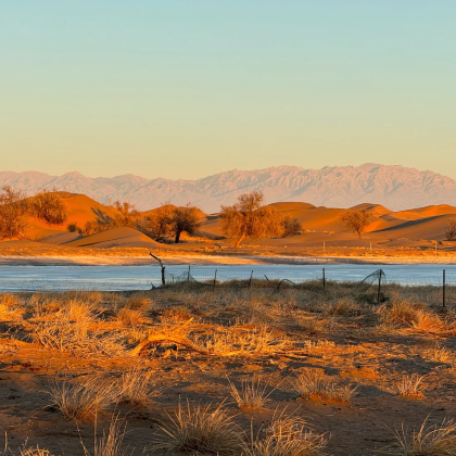 银川+吴忠+中卫+沙坡头+镇北堡西部影城6日5晚跟团游