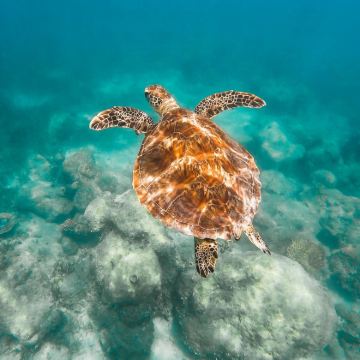 澳大利亚10日跟团游