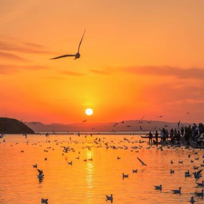 银川+腾格里沙漠+西部梦幻峡谷+乌海5日4晚私家团