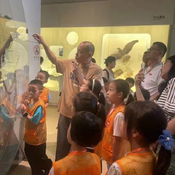 博物馆讲解•国家动物博物馆半日研学亲子营【趣味亲子课堂—神奇的鸟类、动物大百科、昆虫世界—三大主题进入动物们的世界】