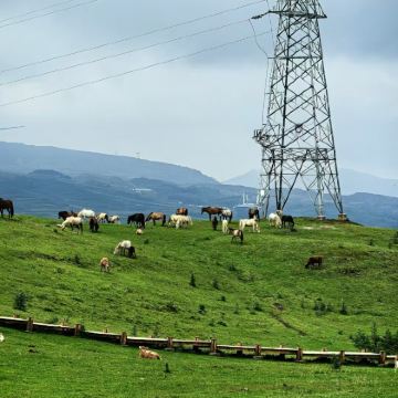 贵州贵阳+黄果树景区+马岭河+织金洞+乌蒙大草原6日5晚跟团游