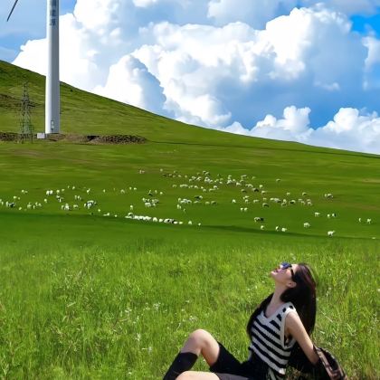 呼和浩特+乌兰哈达火山地质公园+辉腾锡勒草原+响沙湾3日2晚私家团