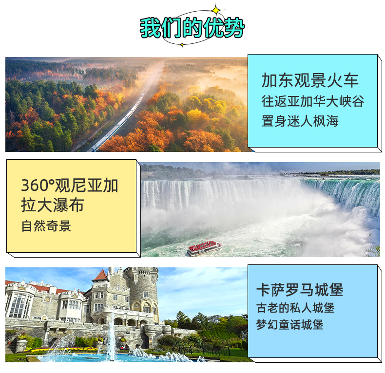 多伦多